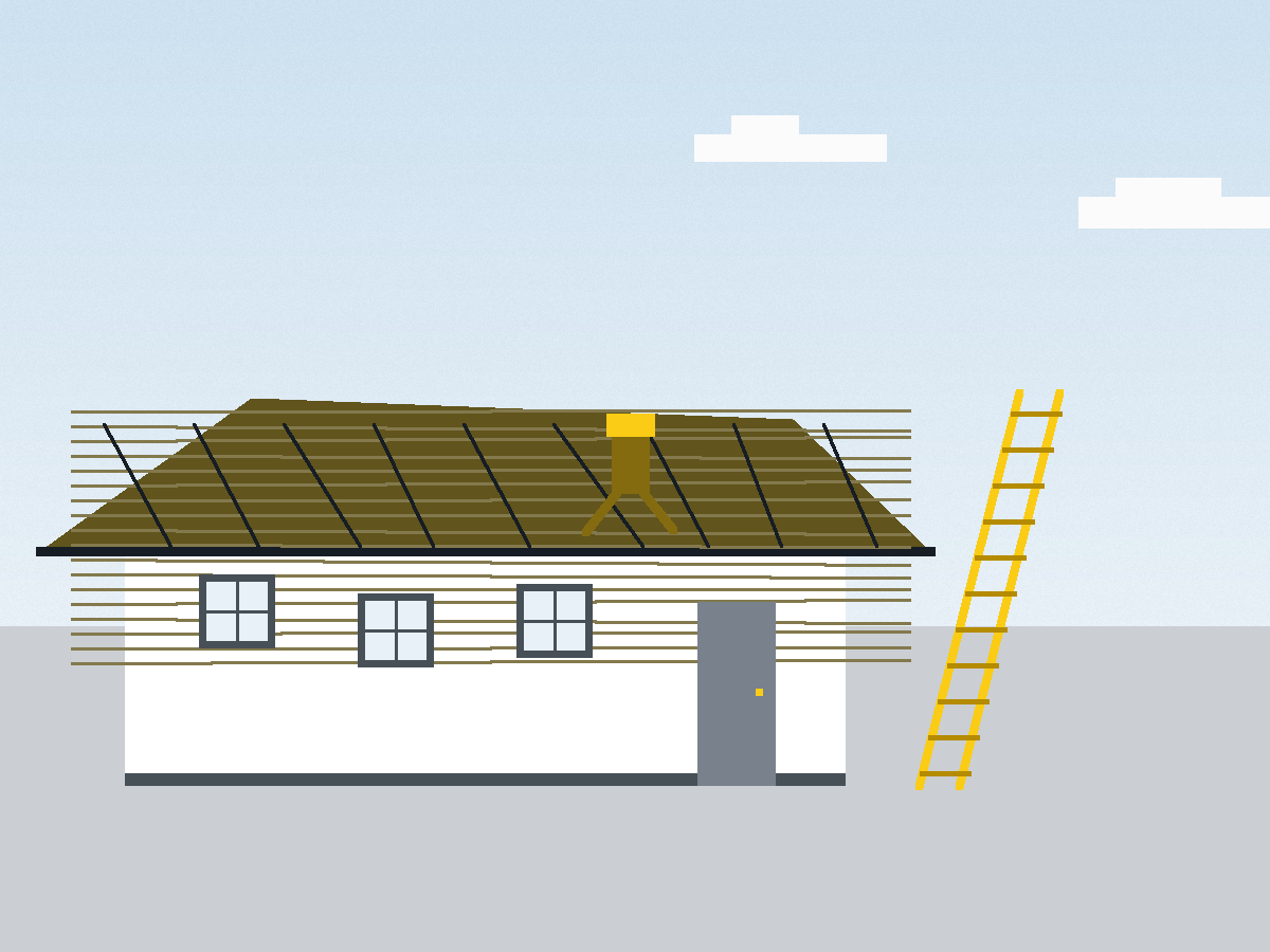 Modern residential roof with clean shingles